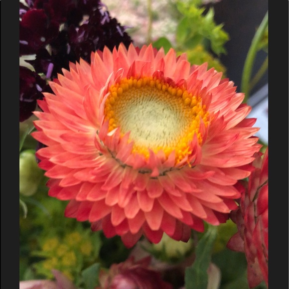 Meet your Posher, Gwen! - Picture 2 of 8